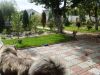 DSC05480.JPG