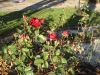 DSC05503.JPG