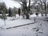 DSC05538.JPG