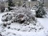 DSC05539.JPG
