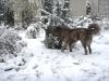 DSC05543.JPG