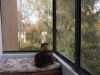 DSCF0731.JPG