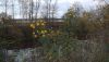 DSCF0759.JPG