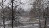 DSCF0813.JPG