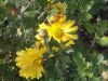 DSCN0031.JPG