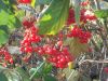 DSCN0036.JPG
