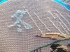 DSCN0054.JPG