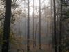 DSCN0433.JPG