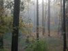DSCN0434.JPG