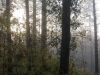 DSCN0435.JPG