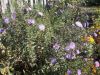 DSCN0441.JPG