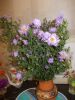 DSCN0446.JPG