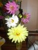 DSCN0447.JPG