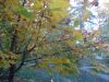 DSCN0450.JPG