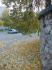 DSCN0452.JPG