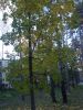 DSCN0458.JPG