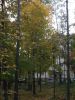 DSCN0459.JPG