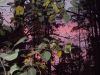 DSCN0461.JPG