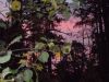 DSCN0463.JPG