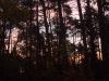 DSCN0465.JPG