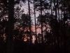 DSCN0466.JPG