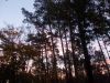 DSCN0467.JPG
