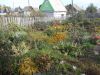 DSCN0468.JPG