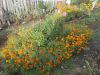 DSCN0470.JPG
