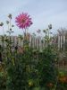 DSCN0471.JPG