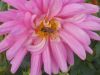 DSCN0473.JPG
