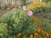 DSCN0474.JPG