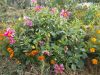 DSCN0475.JPG