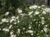 DSCN0479.JPG