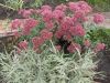 DSCN0492.JPG