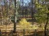 DSCN0507.JPG