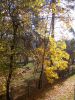 DSCN0508.JPG