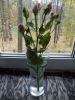 DSCN0530.JPG