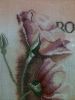 IMG_1923.JPG