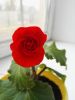 IMG_20161003_084652.jpg