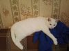 IMG_20161016_100517.jpg