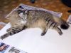 IMG_20161016_151930.jpg