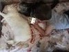 IMG_20161022_095553.thumb.jpg.ae293baf8f0367fadea414ab1c833ecb.jpg?1477296517218