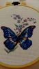 IMG_20161030_171416.jpg