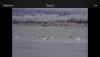 IMG_6337.PNG