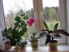 IMG_9277.JPG