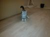 WP_001758.jpg