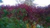 WP_20161003_14_06_00_Pro.jpg
