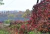 _DSC0264.JPG