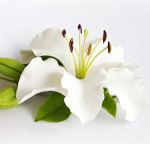 Аватар LilyWhite