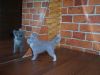 100_5572.jpg